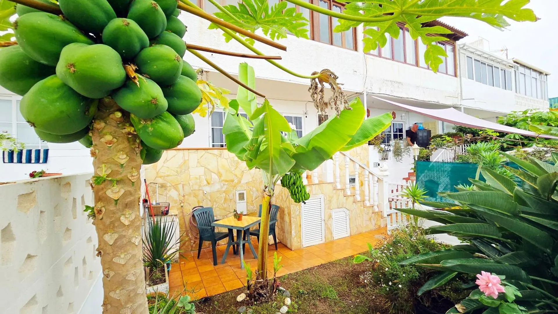 Aa Guest - Romantica Front Sea Views Eco Apartment Los Realejos